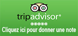 Logo avis tripadvisor